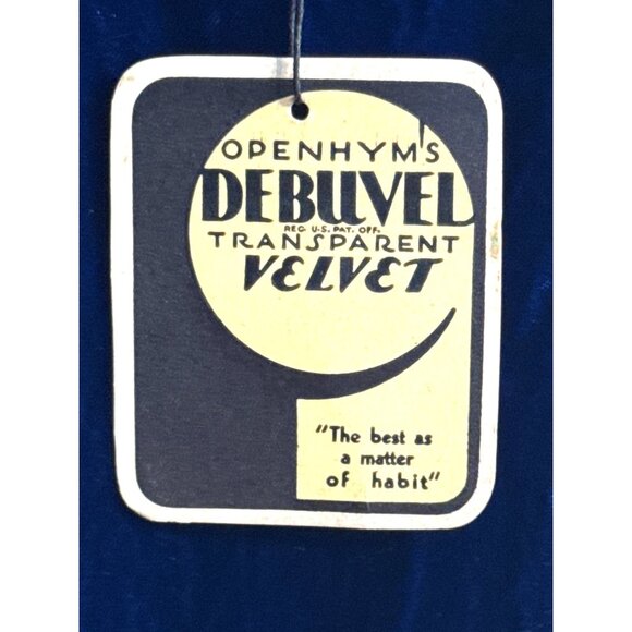 1930s Openhym's Debuvel Transparent Velvet Dress — Art Deco Silk Velvet Gown - Picture 13 of 16